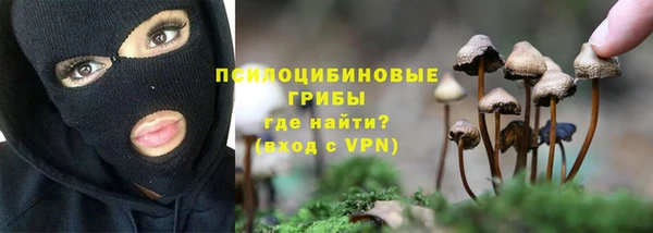 mdpv Верхний Тагил