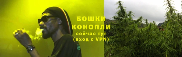 дмт Верея