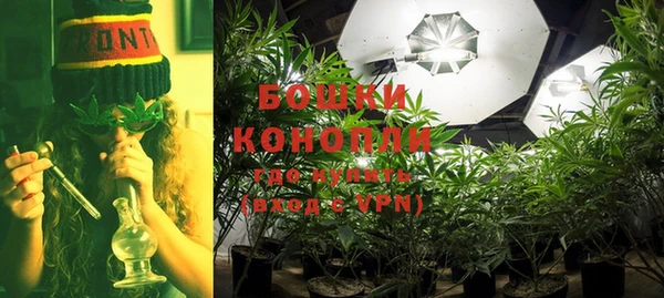 дмт Верея