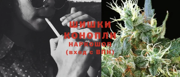 прущие грибы Волосово