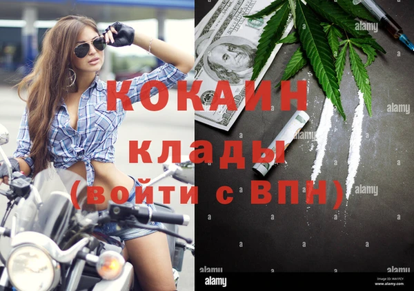 дмт Верея