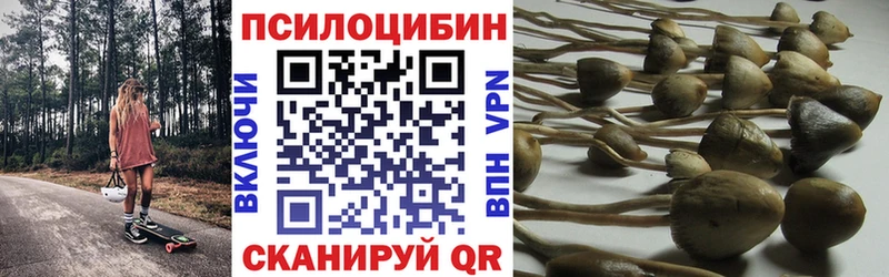 Псилоцибиновые грибы Psilocybine cubensis  Вязники 